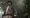 The Best Adventure Games to Play After Indiana Jones and the Great Circle | GamePulse